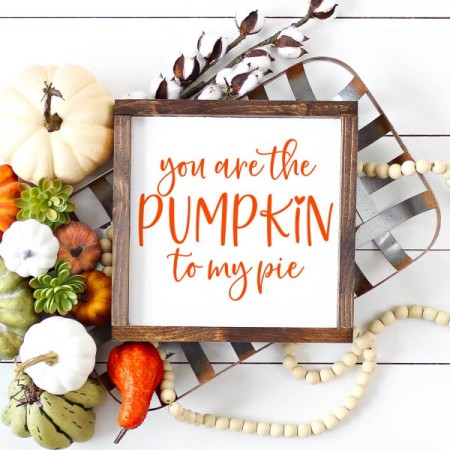 Framed white sign that says You are the pumpkin to my pie