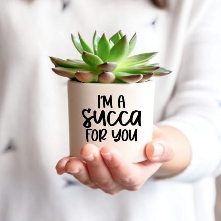 Woman holding a white flower pot with a succulent in it and the words I'm a Succa for You