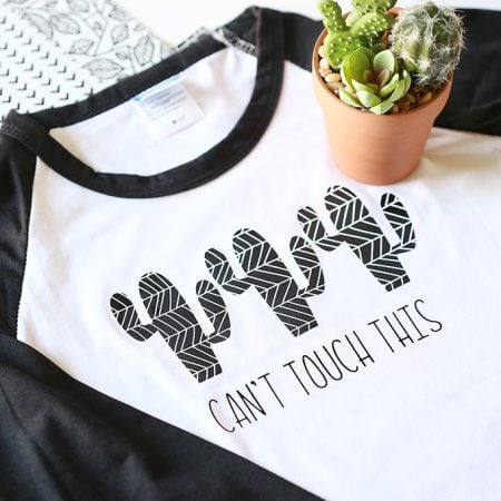 Baseball style t-shirt with cactus iron-on