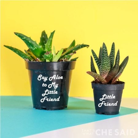 Two planters, one with the words Say Aloe to My Little Friend and the other one says Little Friend