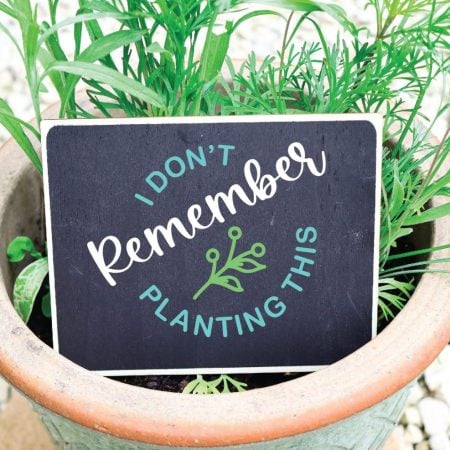 A sign inside a plant that says I Don't Remember Planting This