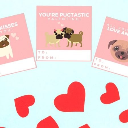 Pug Valentine's Day cards