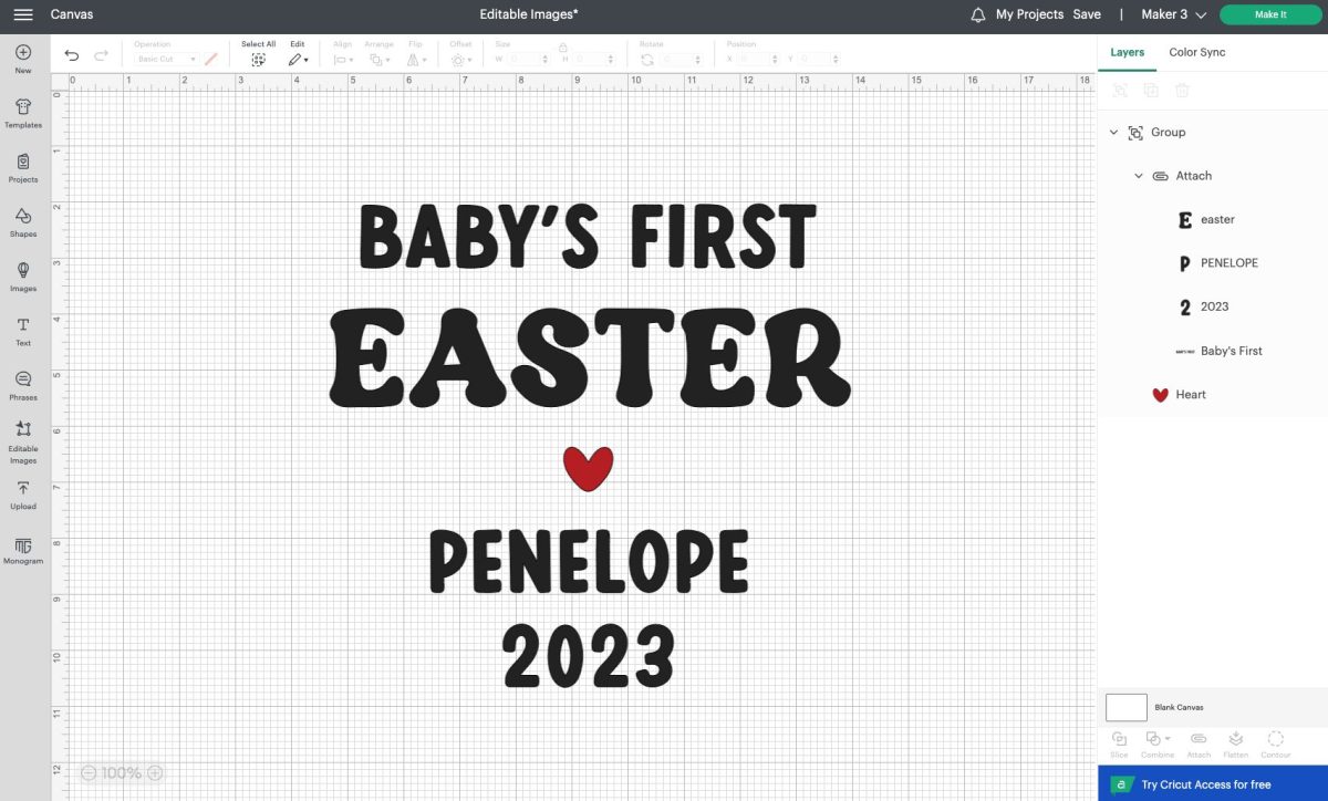 Image changed to say Baby's First Easter Penelope 2023