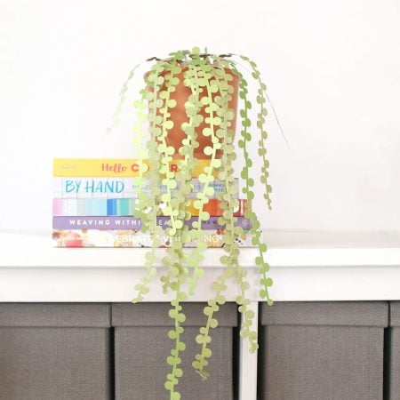 Book and a flower pot filled with paper string of pearls plant sitting on a counter