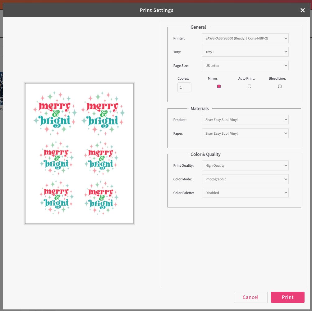 Screenshot of Sawgrass Creative Studio: Print screen with options (skip this screen and print)