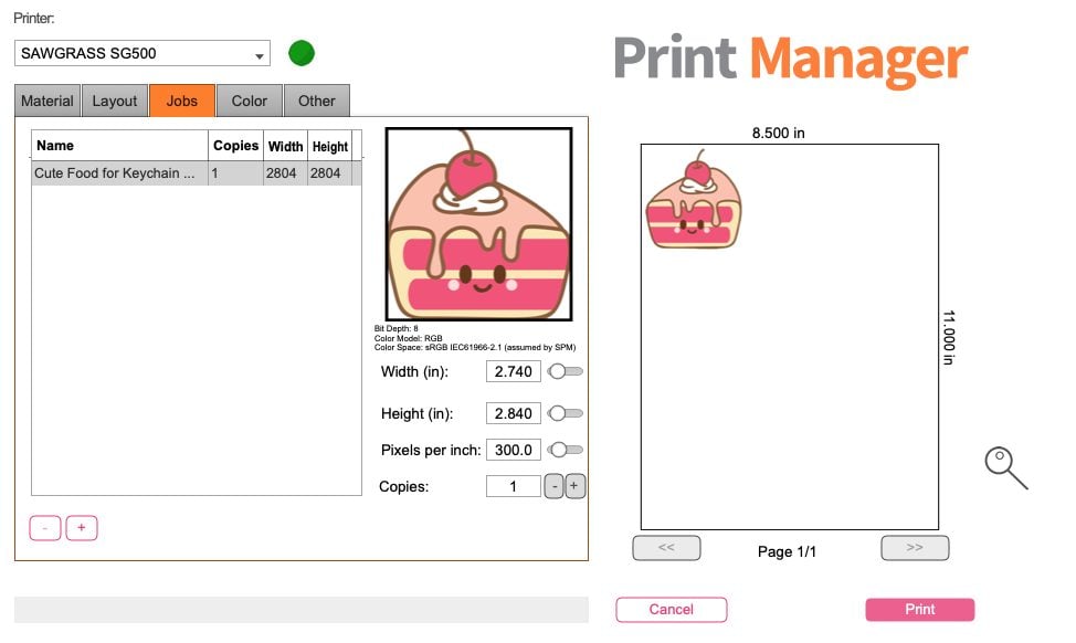 Sawgrass Print Manager: Jobs Tab