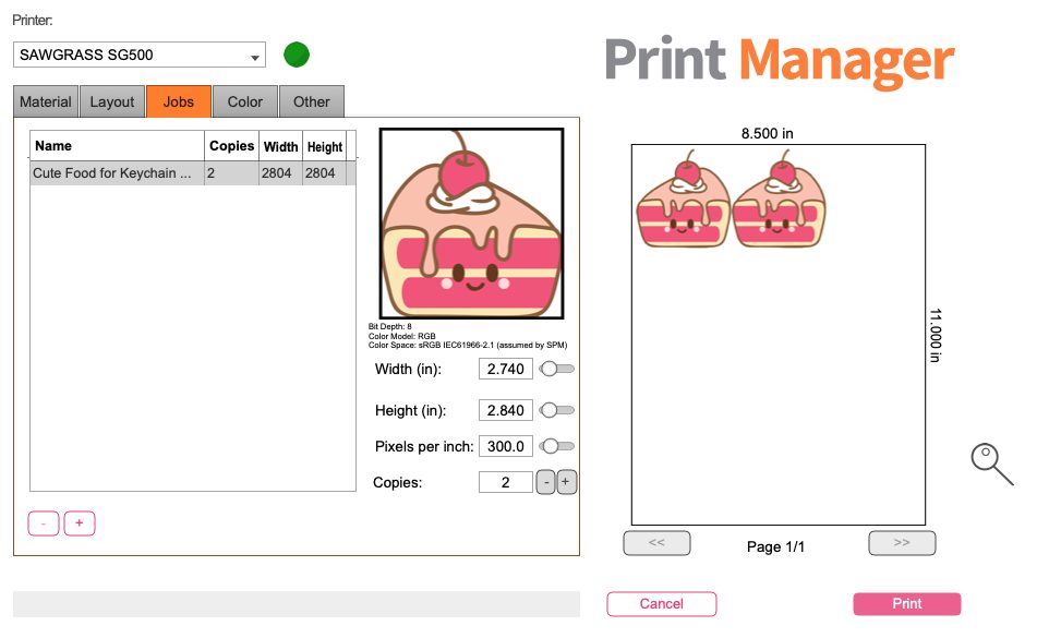 Sawgrass Print Manager: Jobs Tab