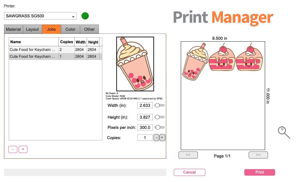 Sawgrass Print Manager: Jobs Tab