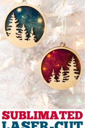 Sublimated Laser-Cut Ornaments Pin Image
