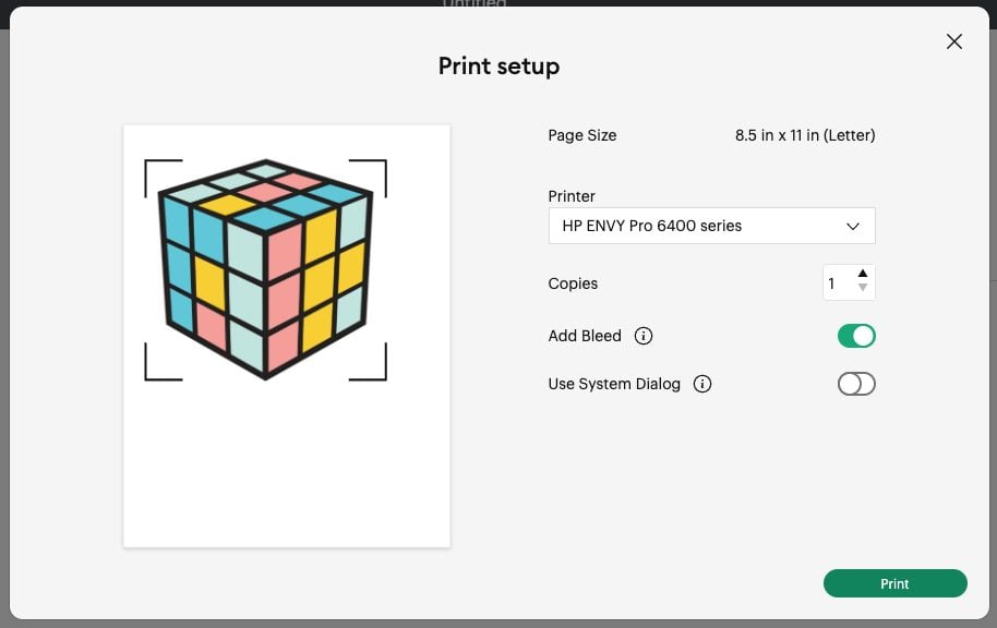 Print Setup showing the bleed checked.