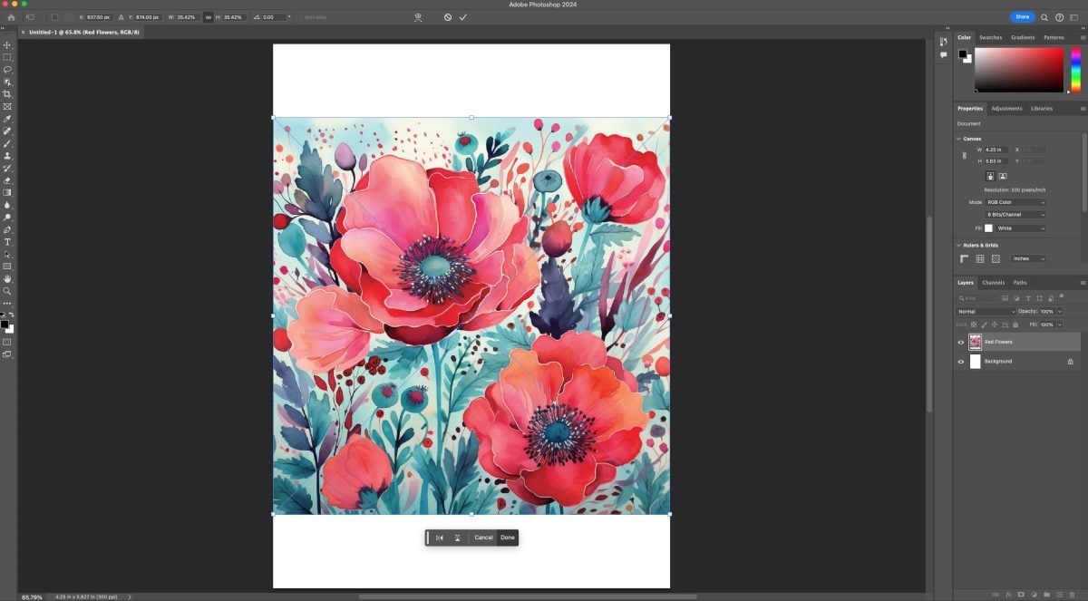 Photoshop: red poppies image placed on canvas
