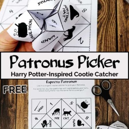 Image of a Harry Potter inspired cootie catcher.