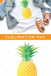 Pineapple PNG pin image