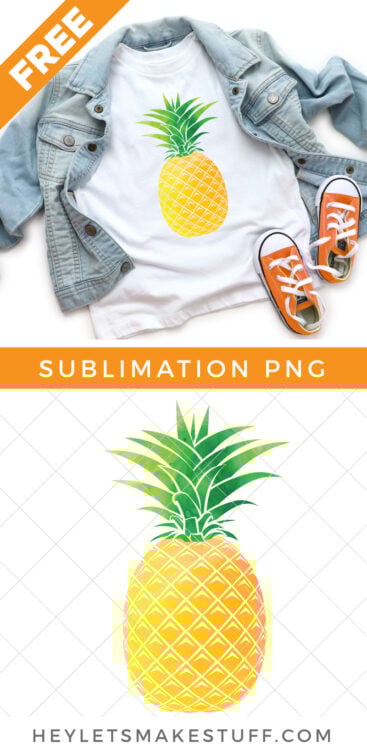 Pineapple PNG pin image