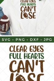 Clear Eyes, Full Hearts, Can't Lose SVG pin image