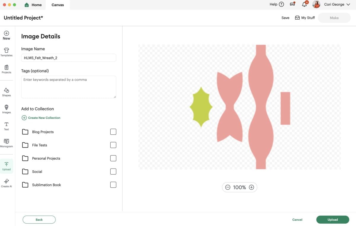 Cricut Design Space Screenshot: Uploading the SVG screen 2